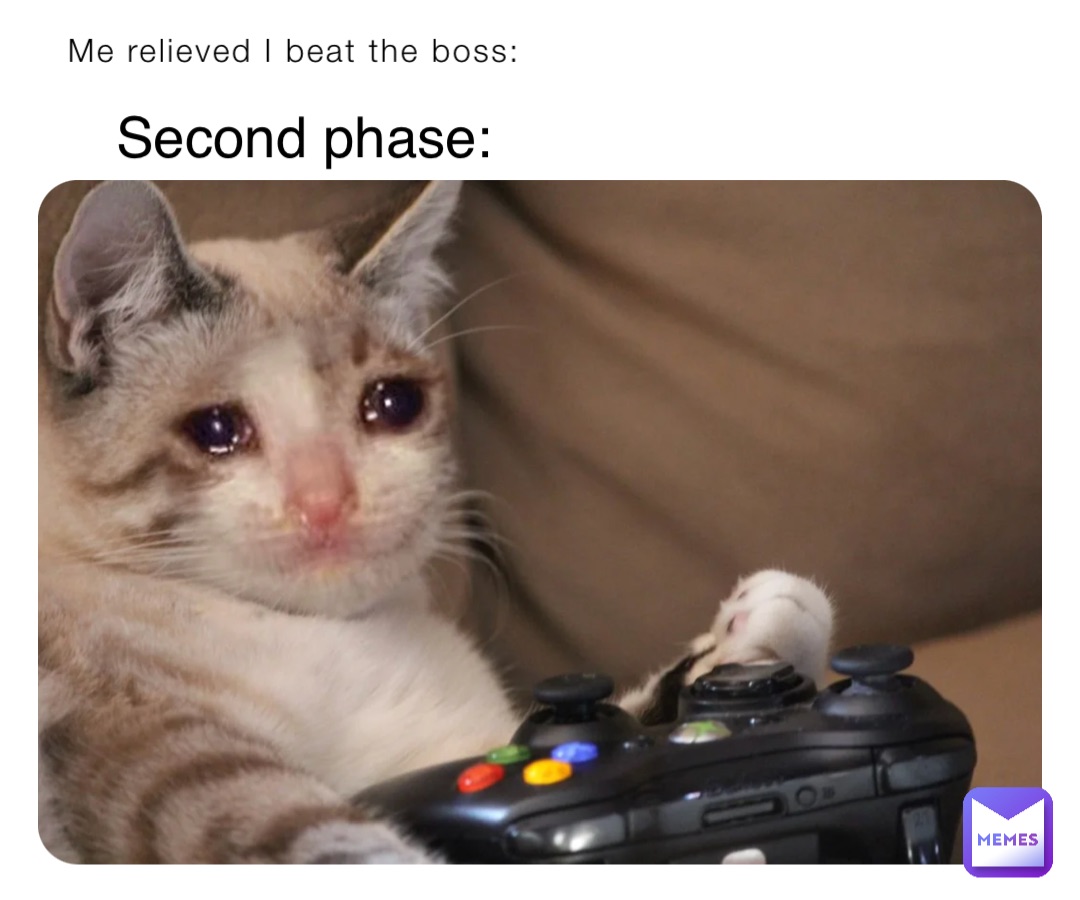 Me relieved I beat the boss: Second phase: