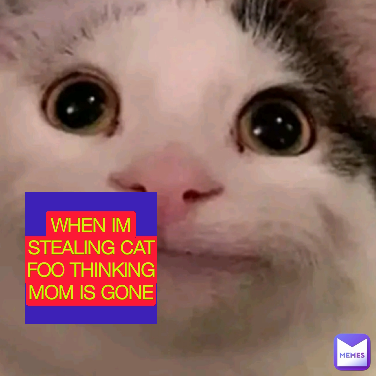 WHEN IM STEALING CAT FOO THINKING MOM IS GONE