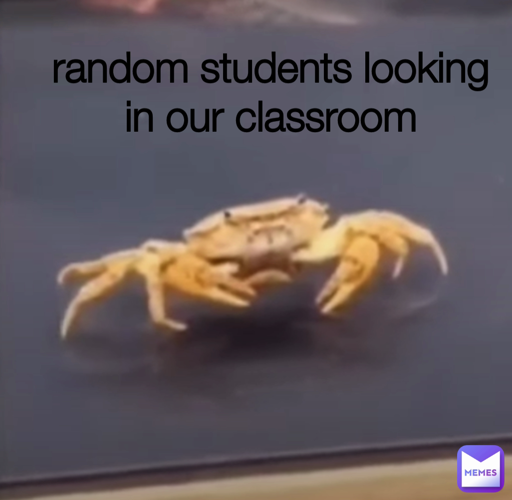 random students looking in our classroom