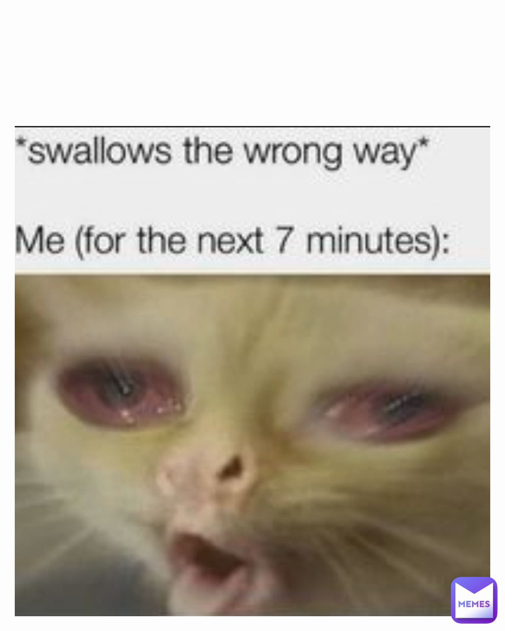 Meme by Rheinerhurensohn