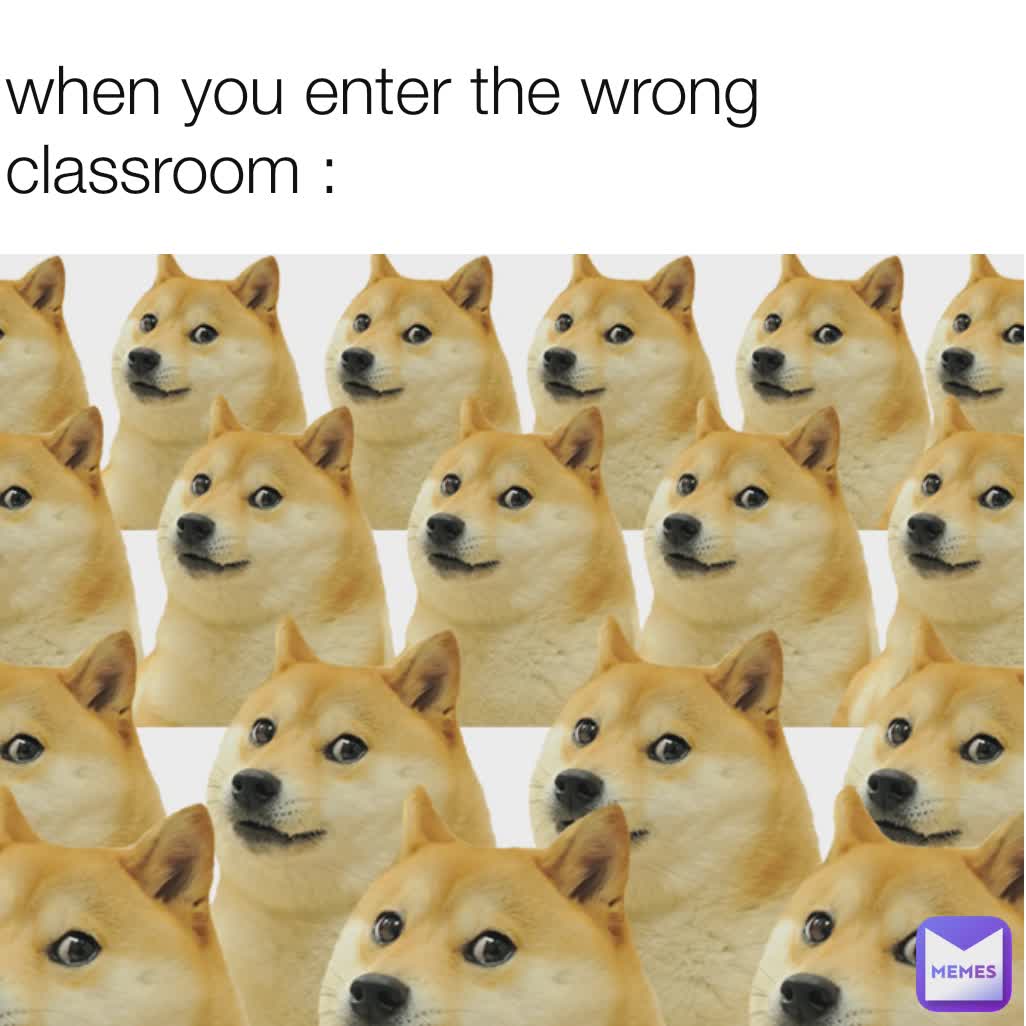 when you enter the wrong classroom : 