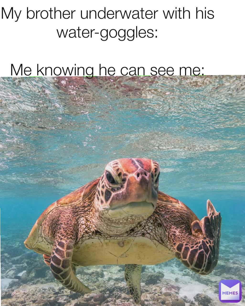 Meme by _justdalila_