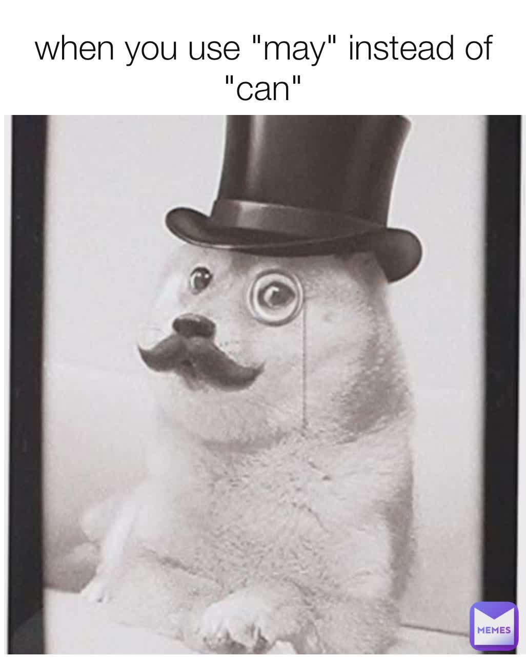 Meme by _justdalila_