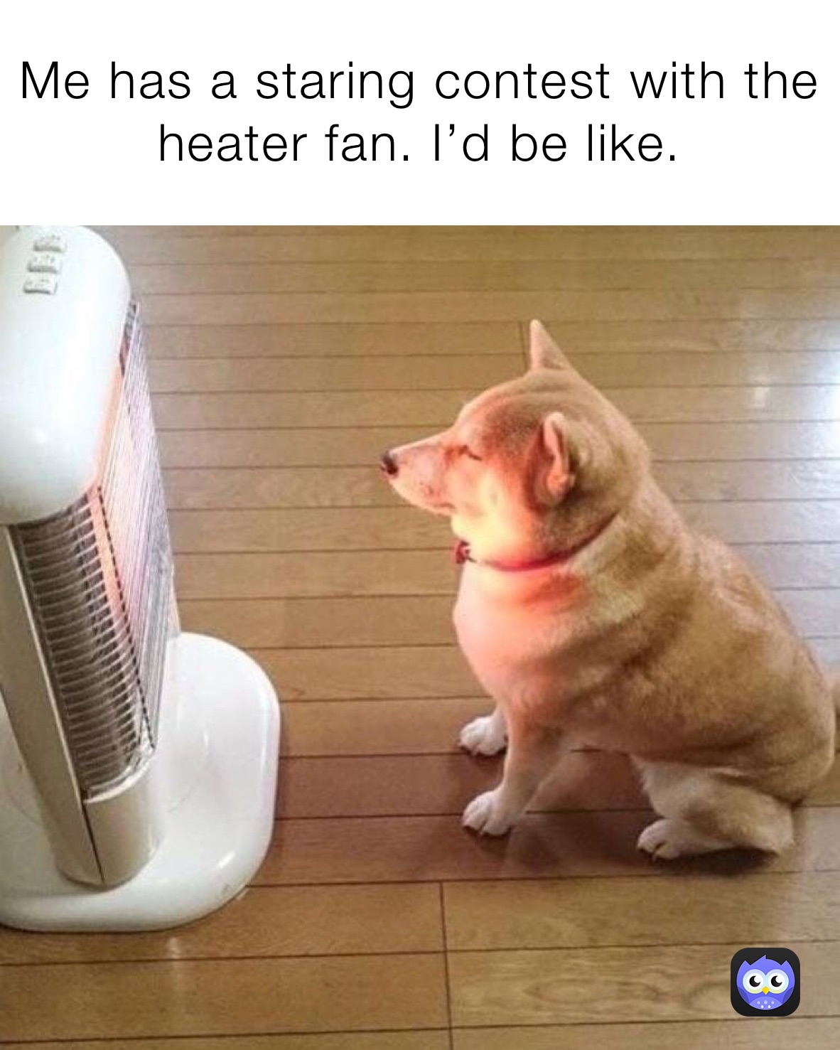 Me has a staring contest with the heater fan. I’d be like.