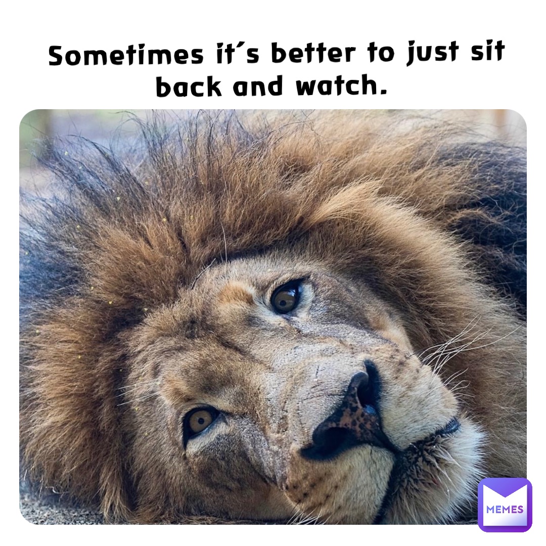 Sometimes it’s better to just sit back and watch.