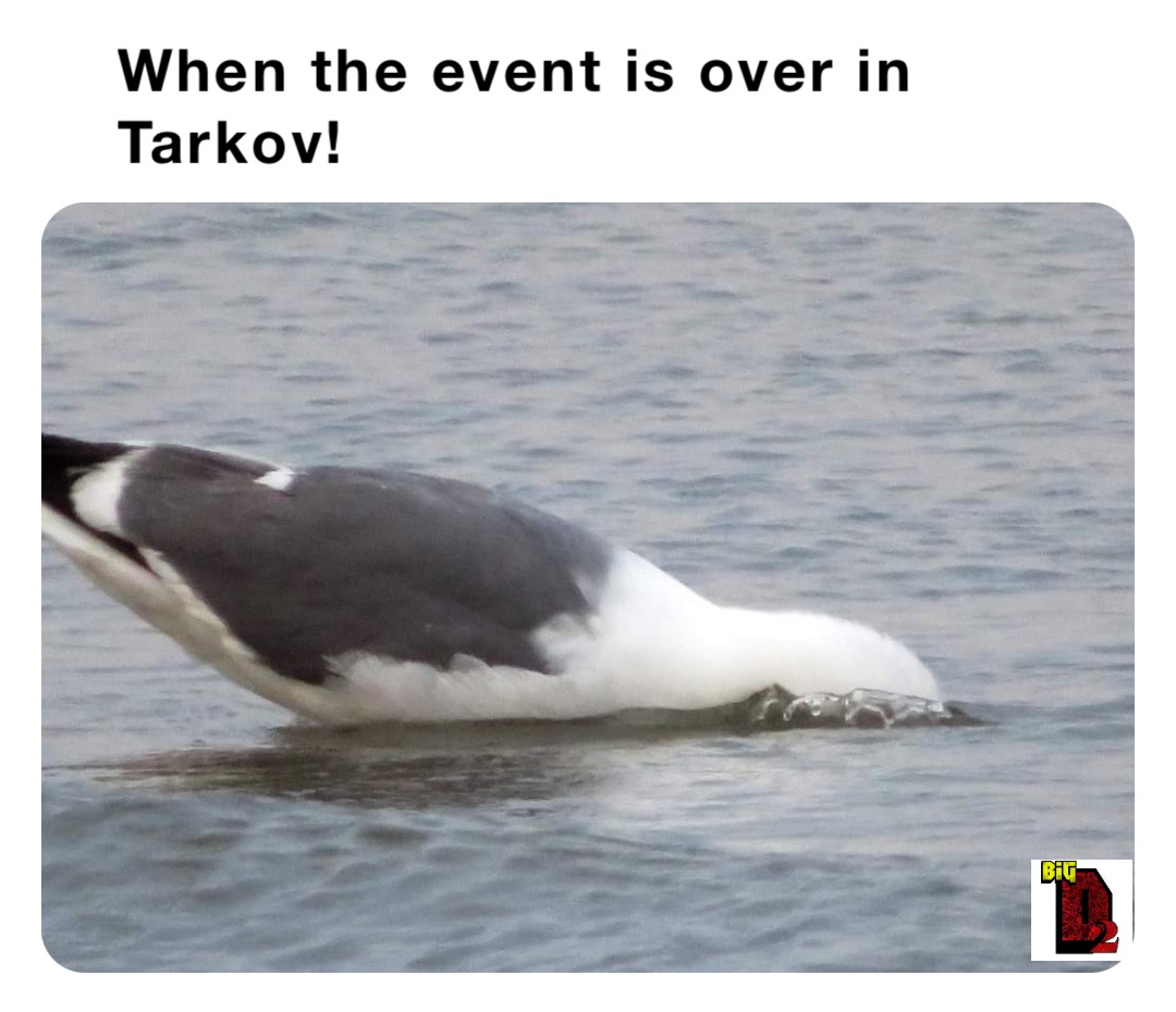When the event is over in Tarkov!