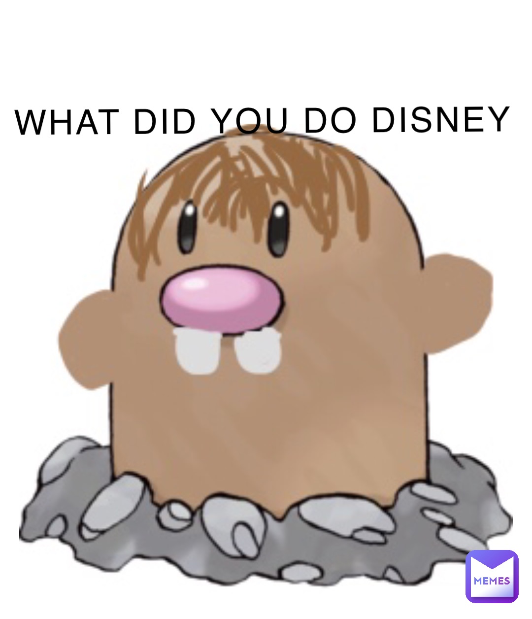 WHAT DID YOU DO DISNEY