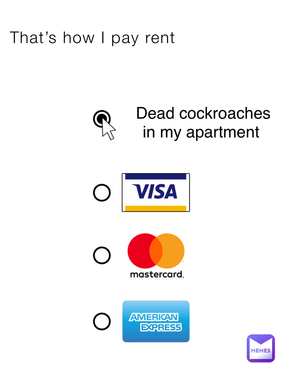 That’s how I pay rent Dead cockroaches in my apartment