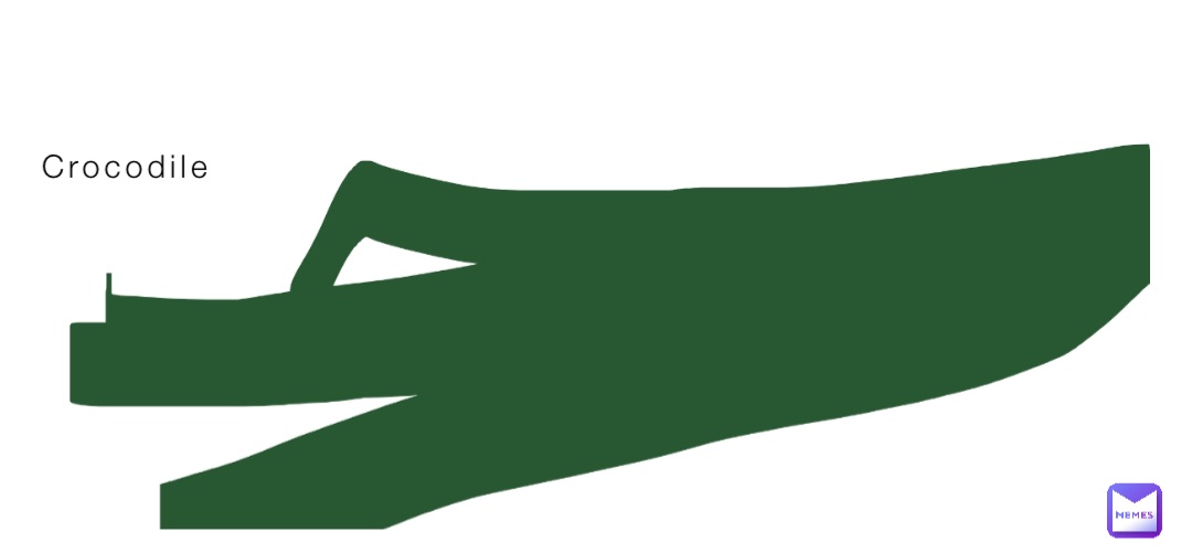Crocodile