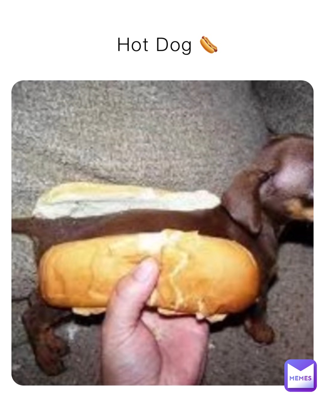 Hot Dog 🌭