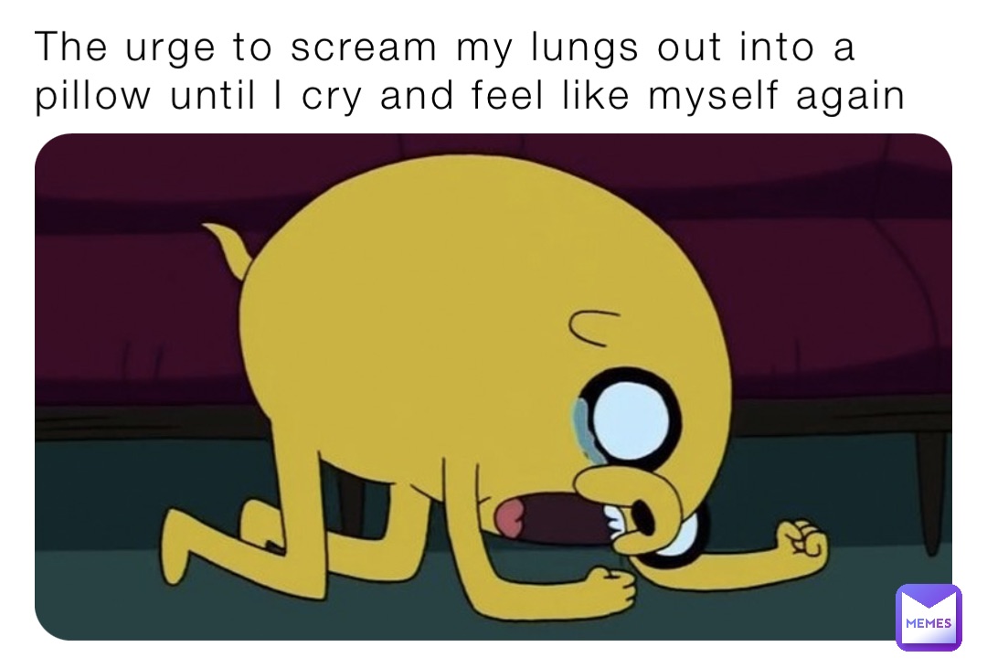 The urge to scream my lungs out into a pillow until I cry and feel like myself again