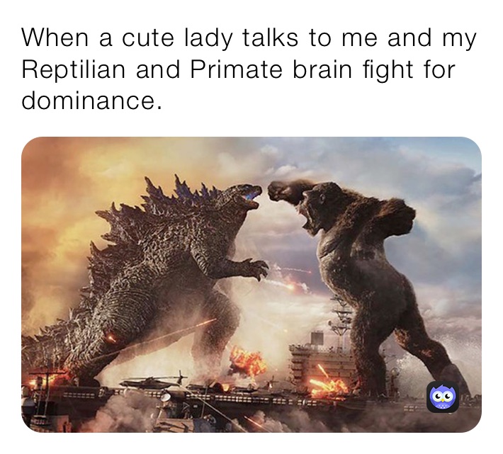 When a cute lady talks to me and my Reptilian and Primate brain fight for dominance.