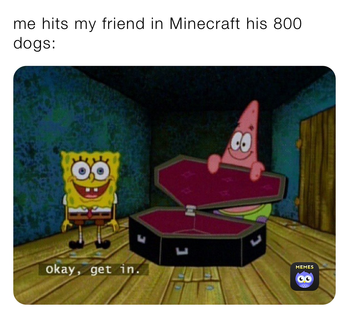 me hits my friend in Minecraft his 800 dogs: