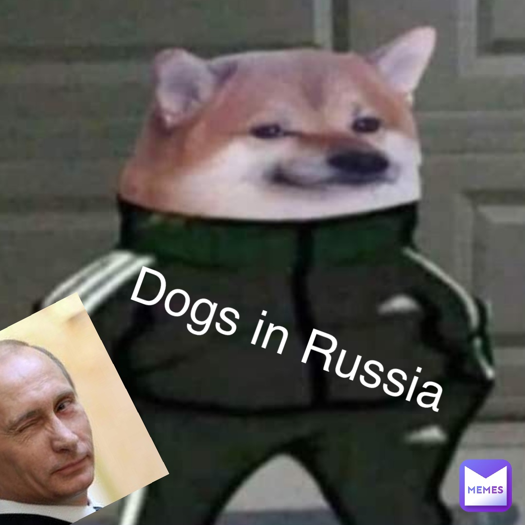 Double tap to edit Dogs in Russia