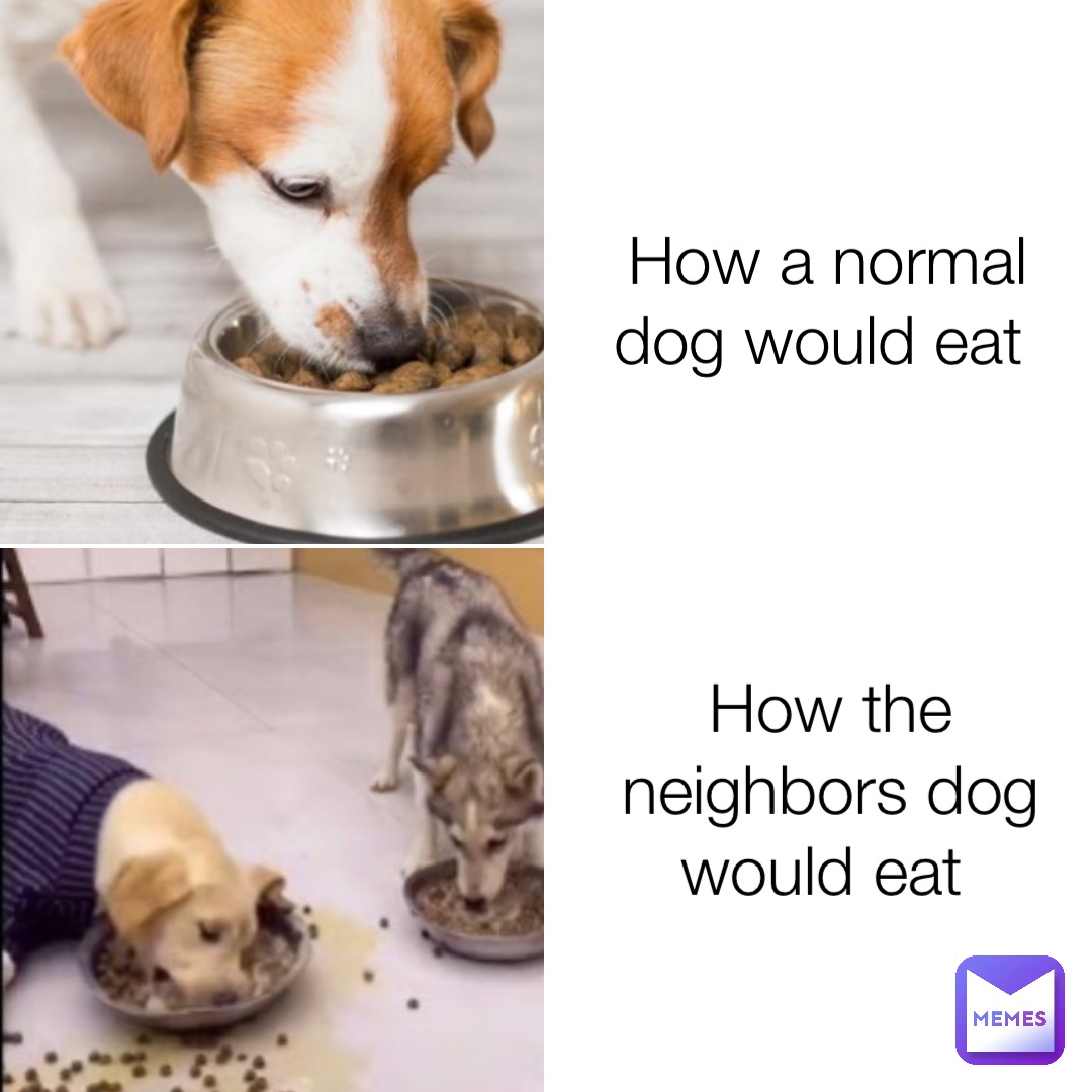 How a normal dog would eat How the neighbors dog would eat Memes