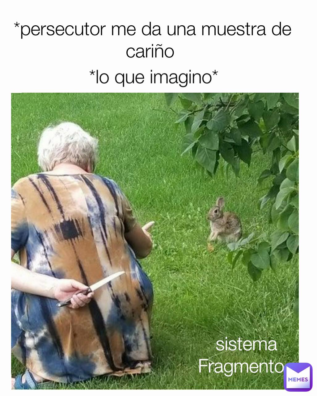 meme carino