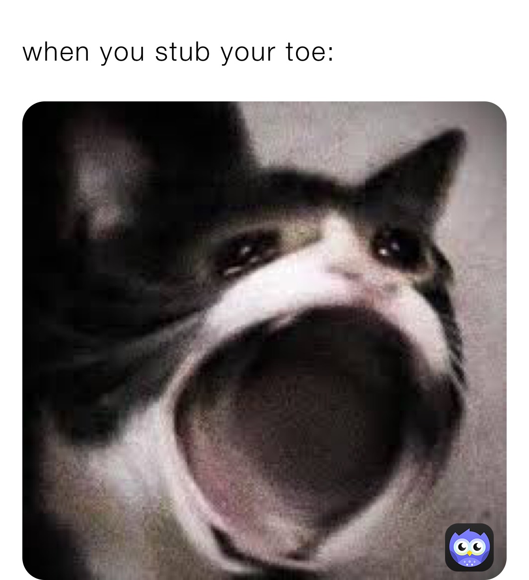 when you stub your toe: