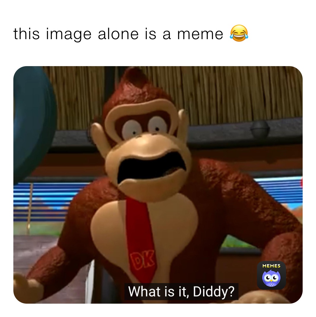 this image alone is a meme 😂