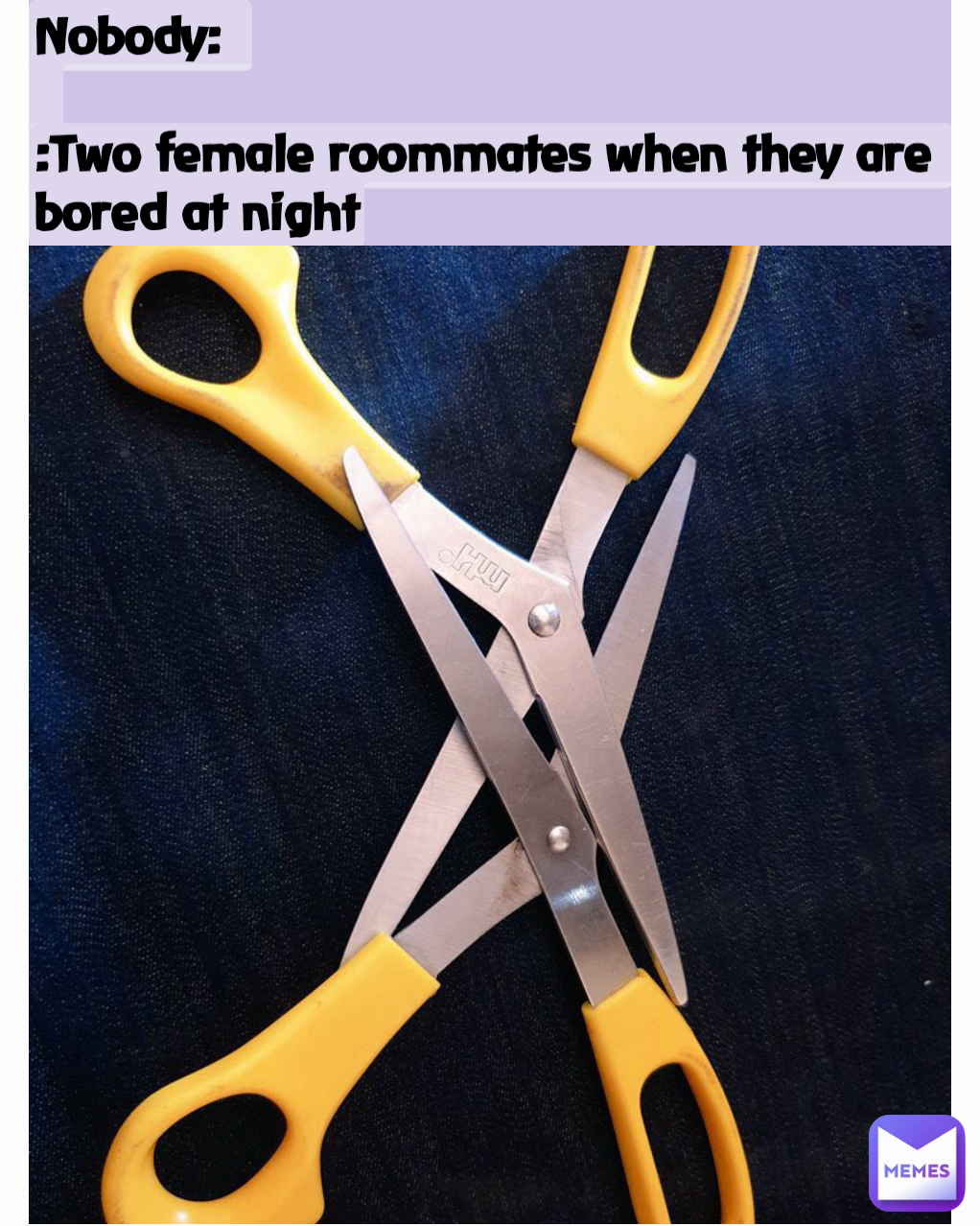 Nobody:

:Two female roommates when they are bored at night