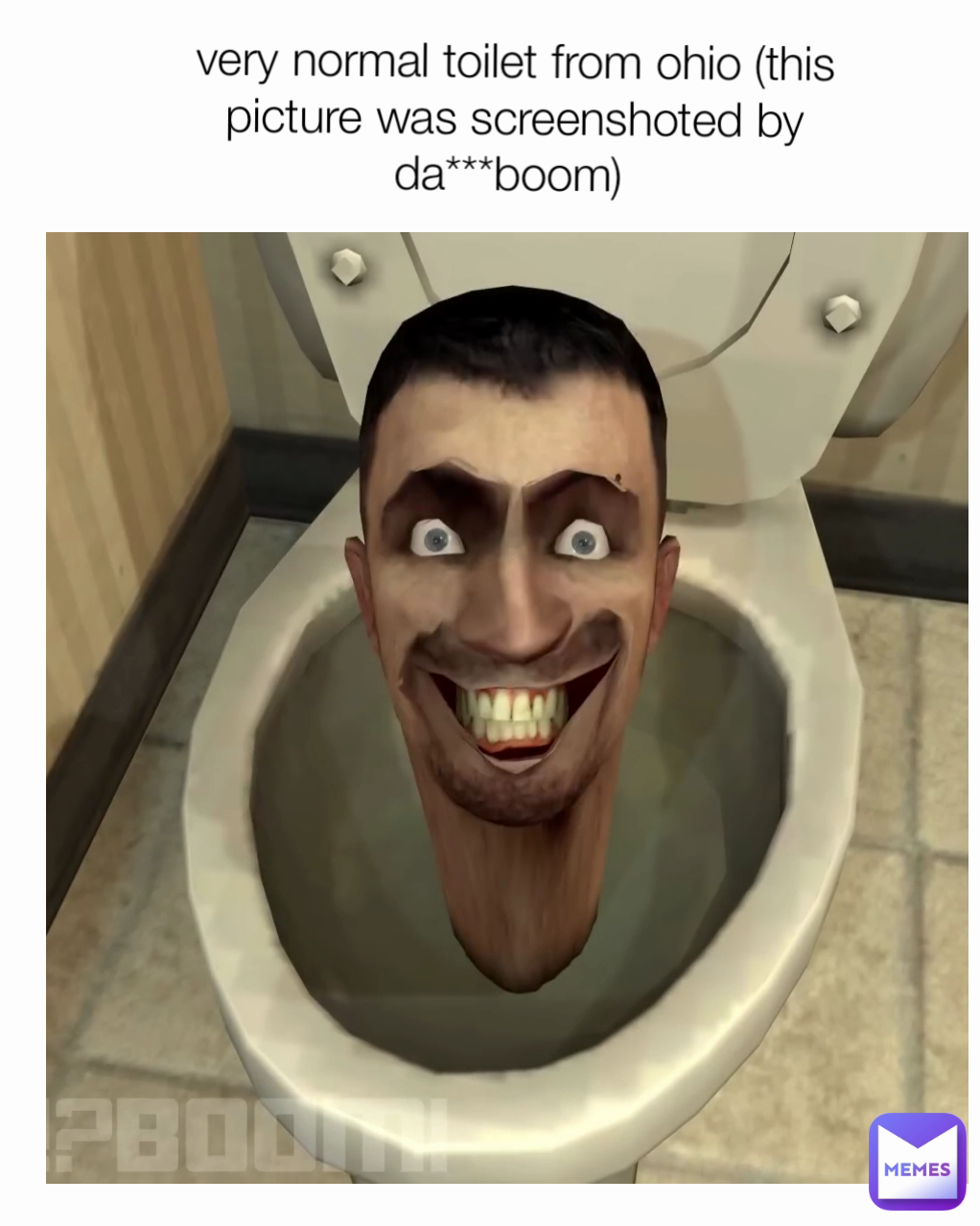 very normal toilet from ohio (this picture was screenshoted by da***boom) 