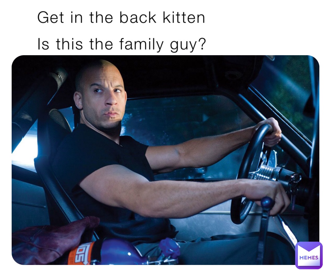 Get in the back kitten Is this the family guy?