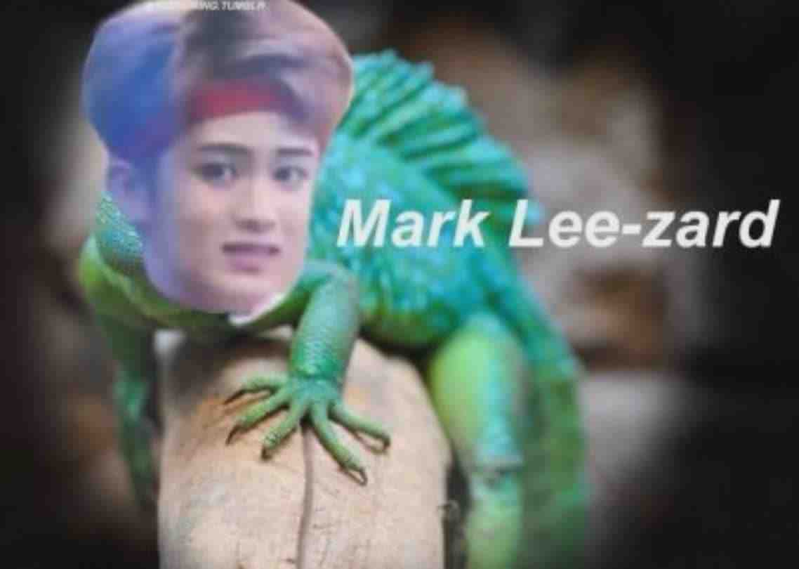 Remember that iconic "mark lee puns" battle..? Here's one more 💀😂 #nct #kpop #kpopmemes