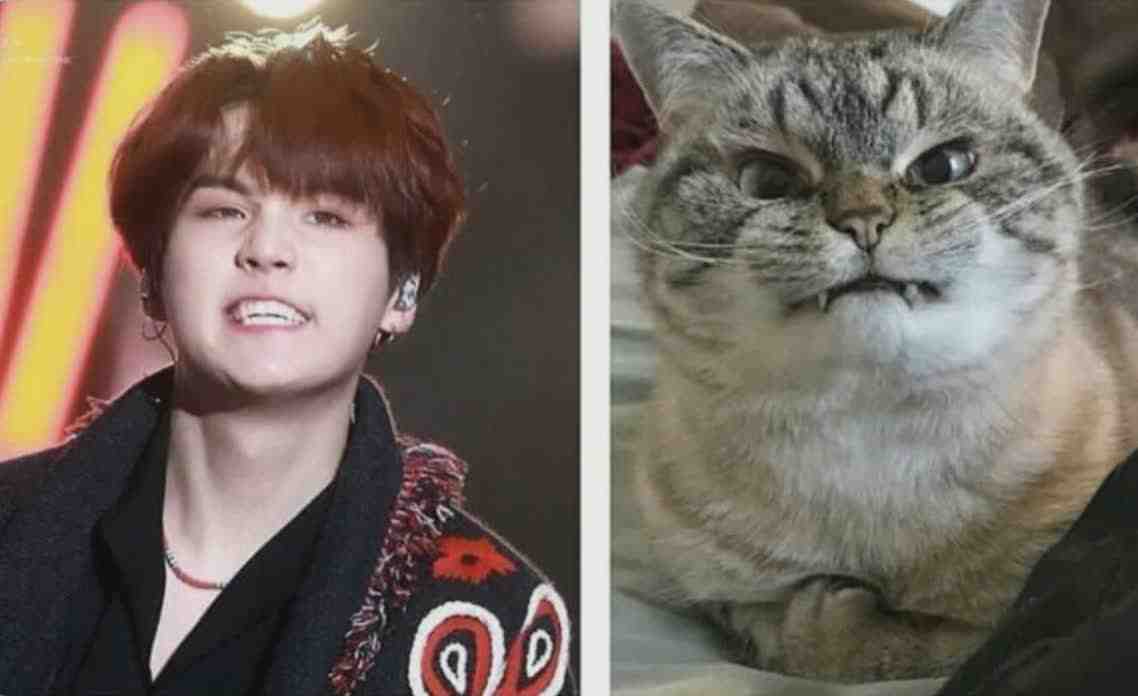 #lilmeowmeow #kpop