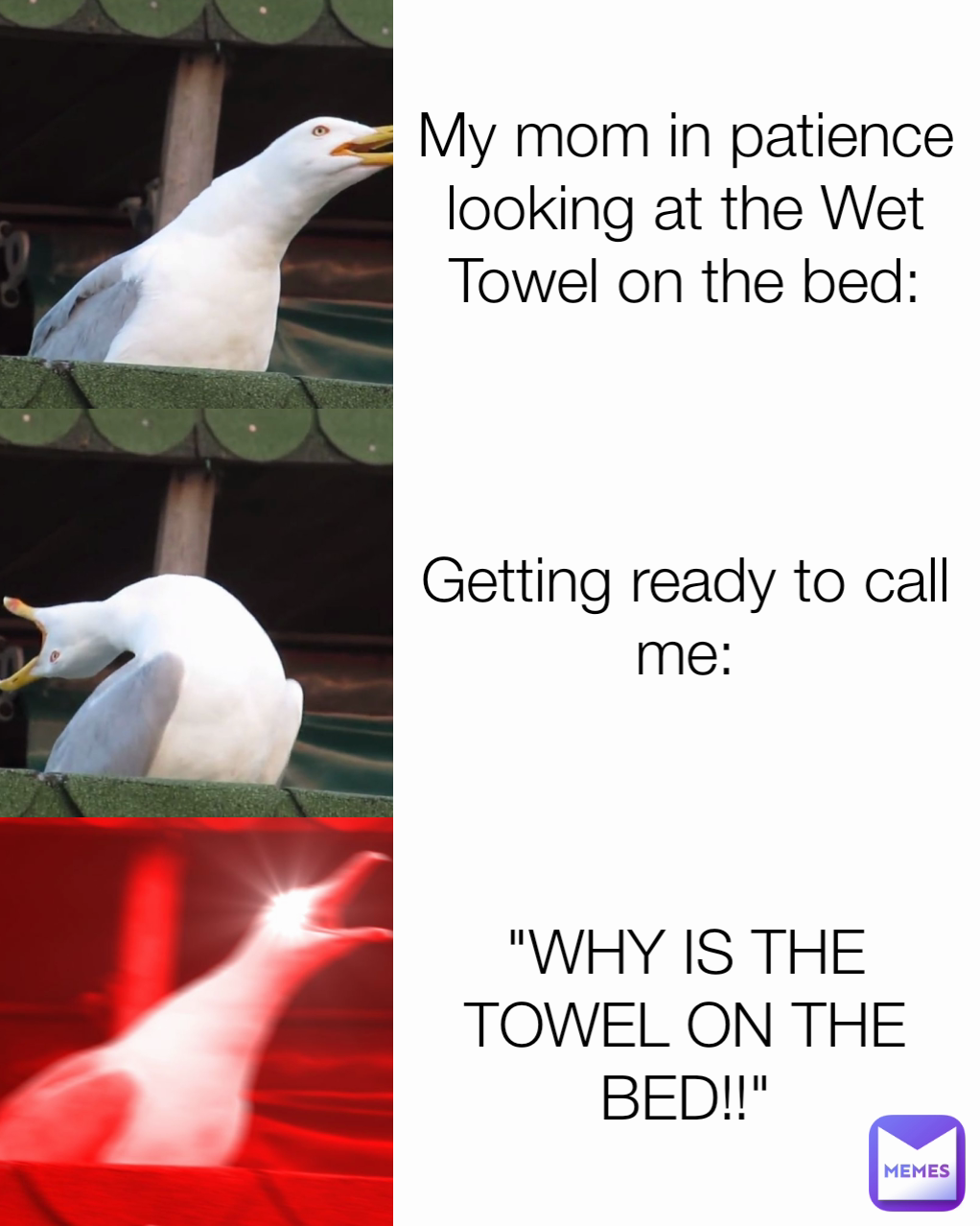 "WHY IS THE TOWEL ON THE BED!!" My mom in patience looking at the Wet Towel on the bed: Getting ready to call me: