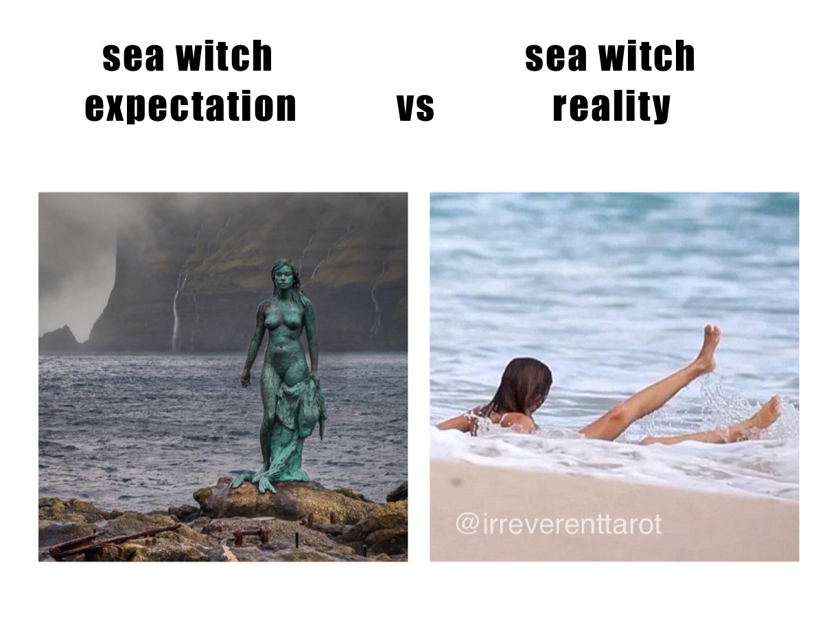         sea witch                            sea witch
      expectation           vs             reality