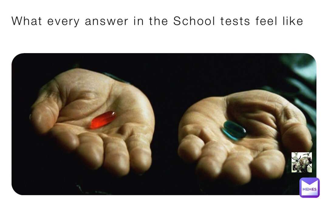 What every answer in the School tests feel like