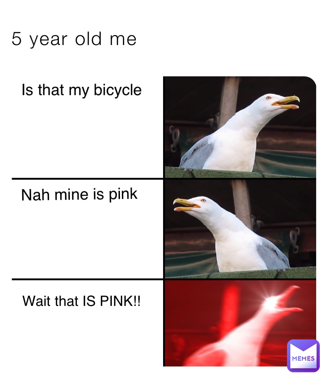 5 year old me Is that my bicycle Nah mine is pink Wait that IS PINK!!