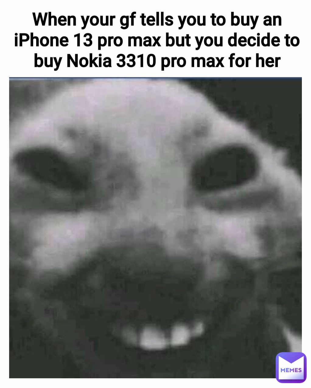 When your gf tells you to buy an iPhone 13 pro max but you decide to buy Nokia 3310 pro max for her