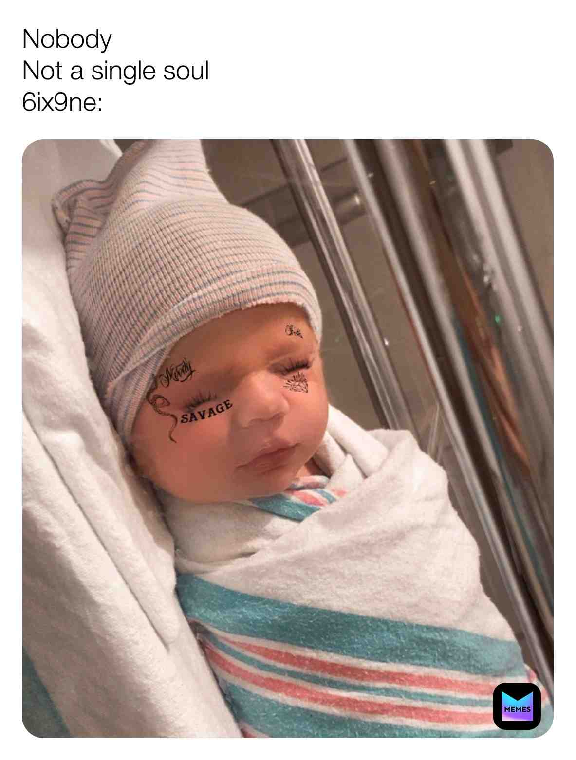 Are you dumb stupid or dumb huh?
