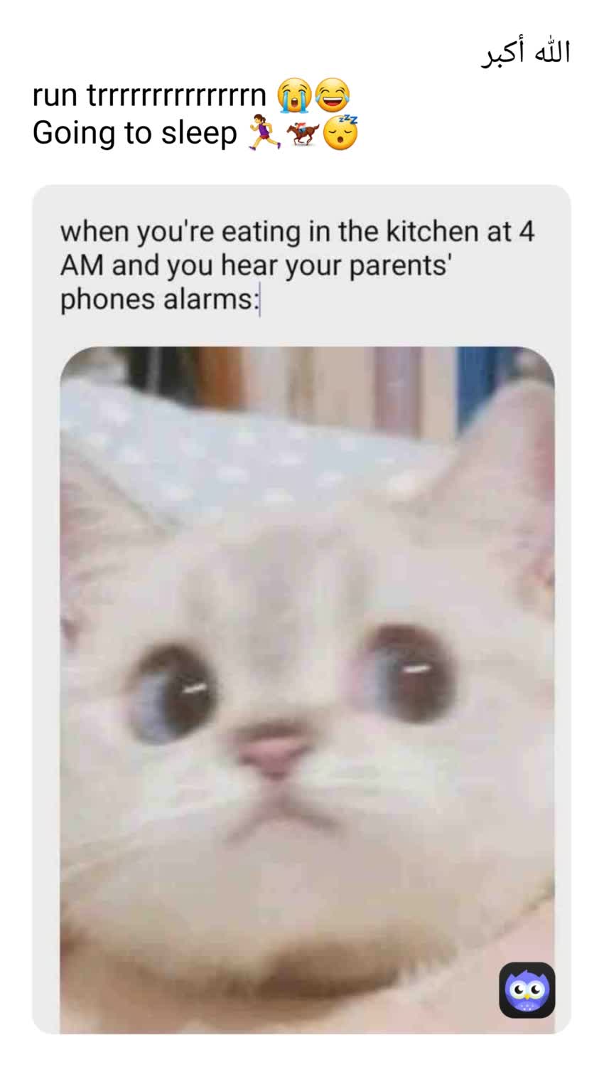 Meme by .nour.memes.