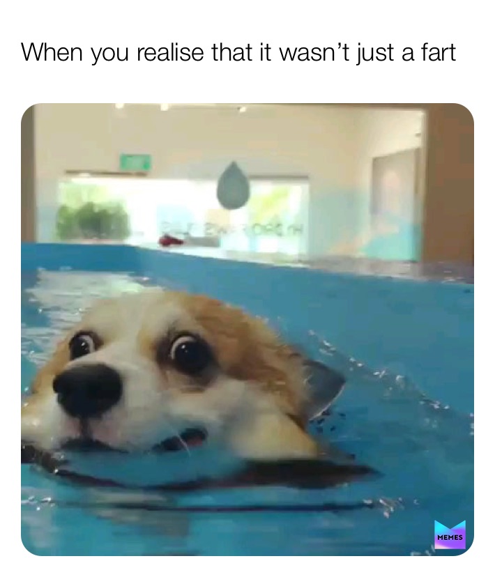 Meme by animallover123