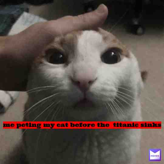 Meme shared by @coppers