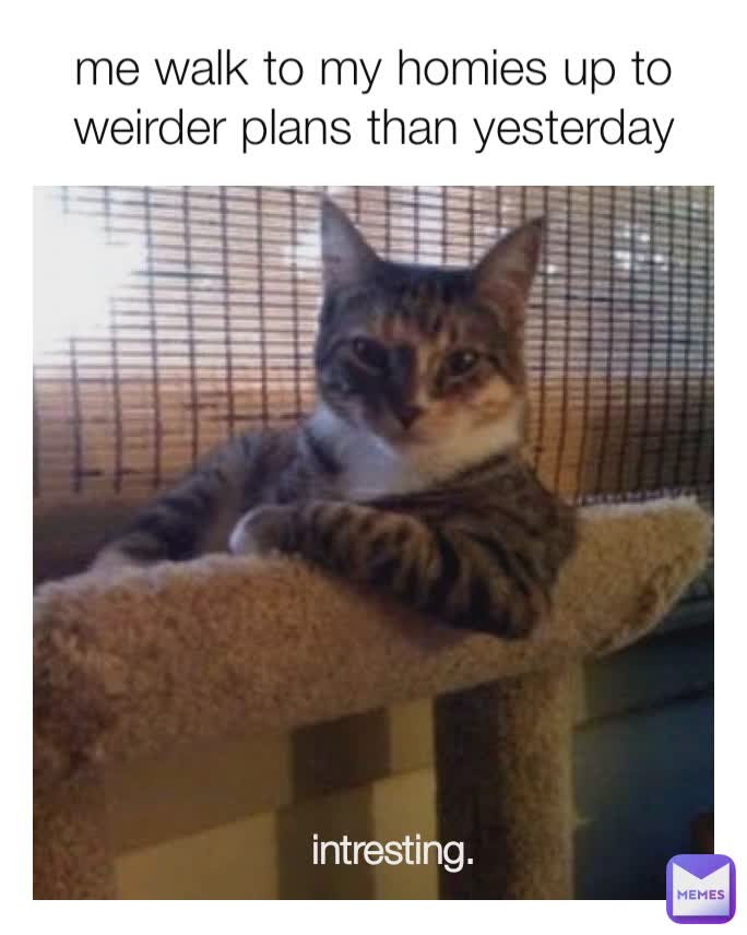 Meme by thenotsogreatalexander