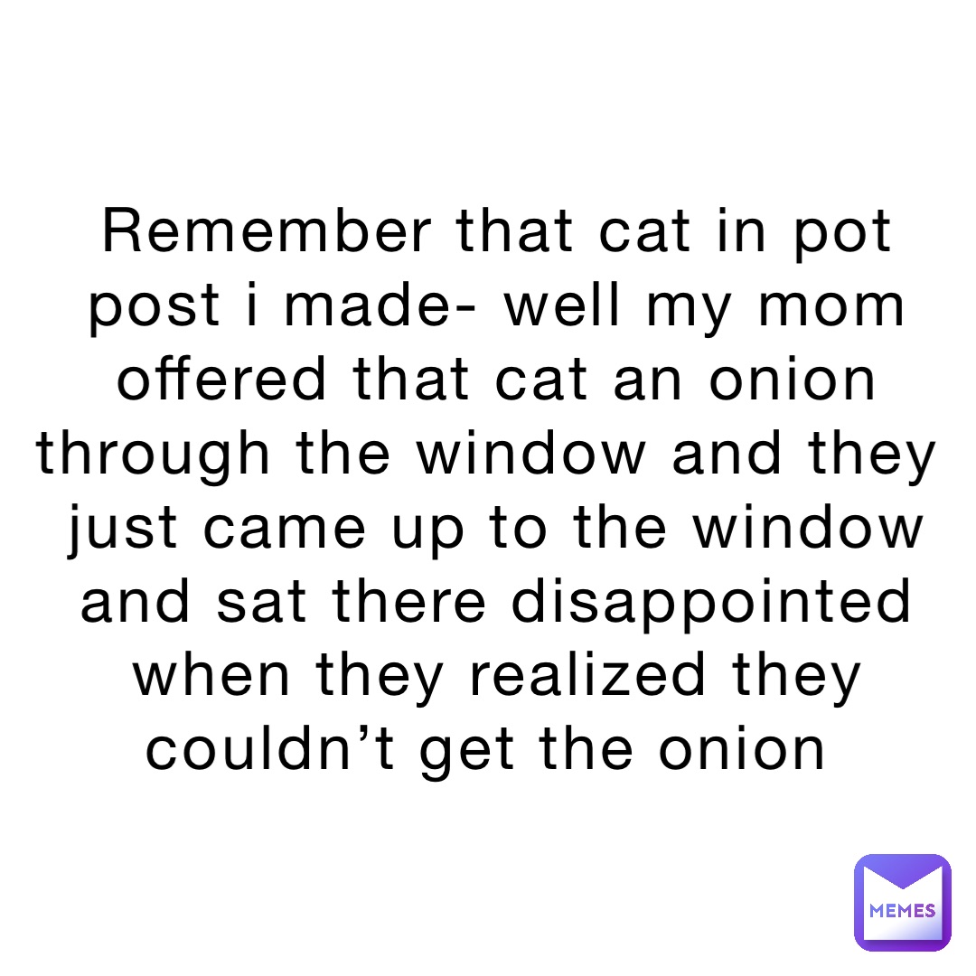 Remember that cat in pot post I made- well my mom offered that cat an onion through the window and they just came up to the window and sat there disappointed when they realized they couldn’t get the onion