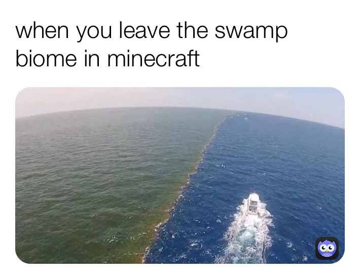 when you leave the swamp biome in minecraft 