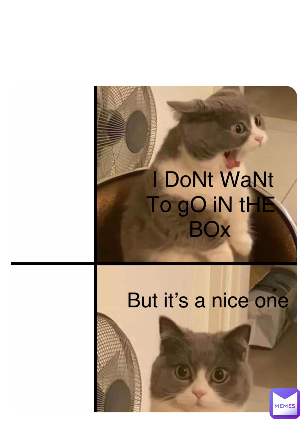 Double tap to edit I DoNt WaNt To gO iN tHE BOx But it’s a nice one