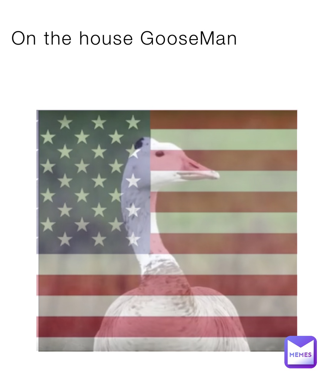 On the house GooseMan