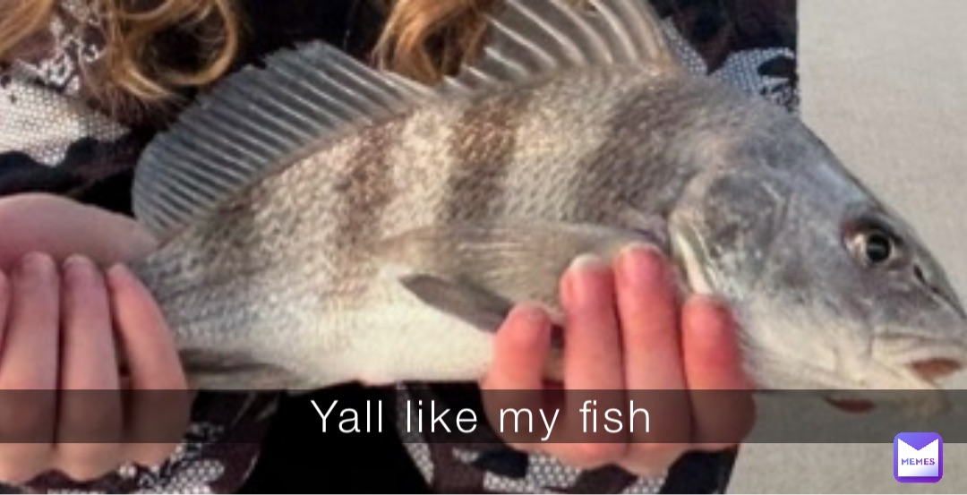 Yall like my fish