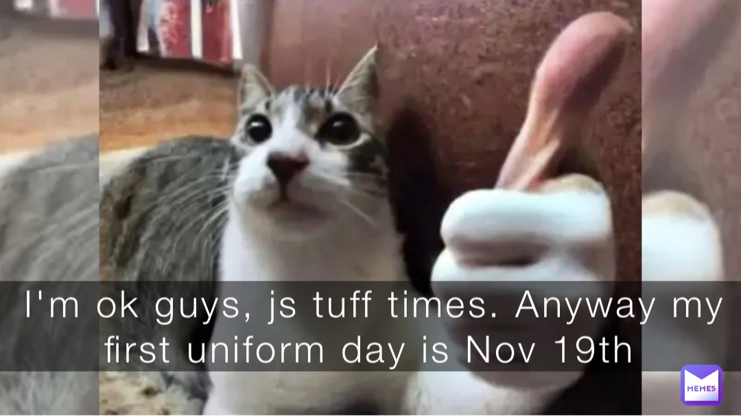 Meme by baller7573758