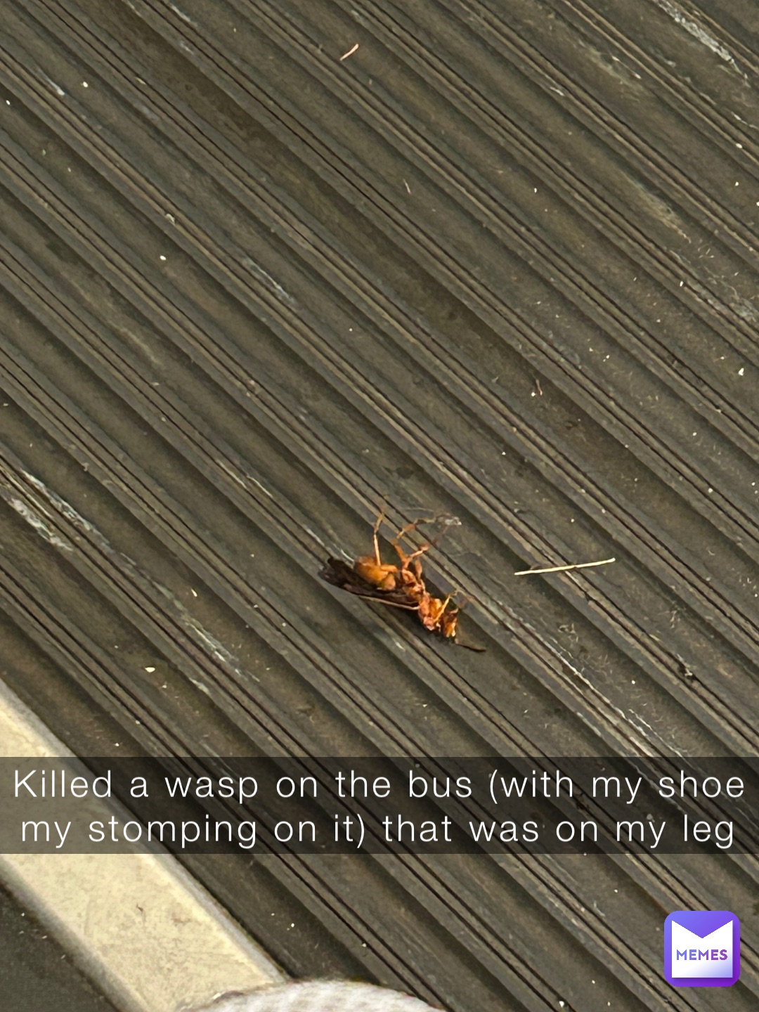 Meme by baller7573758