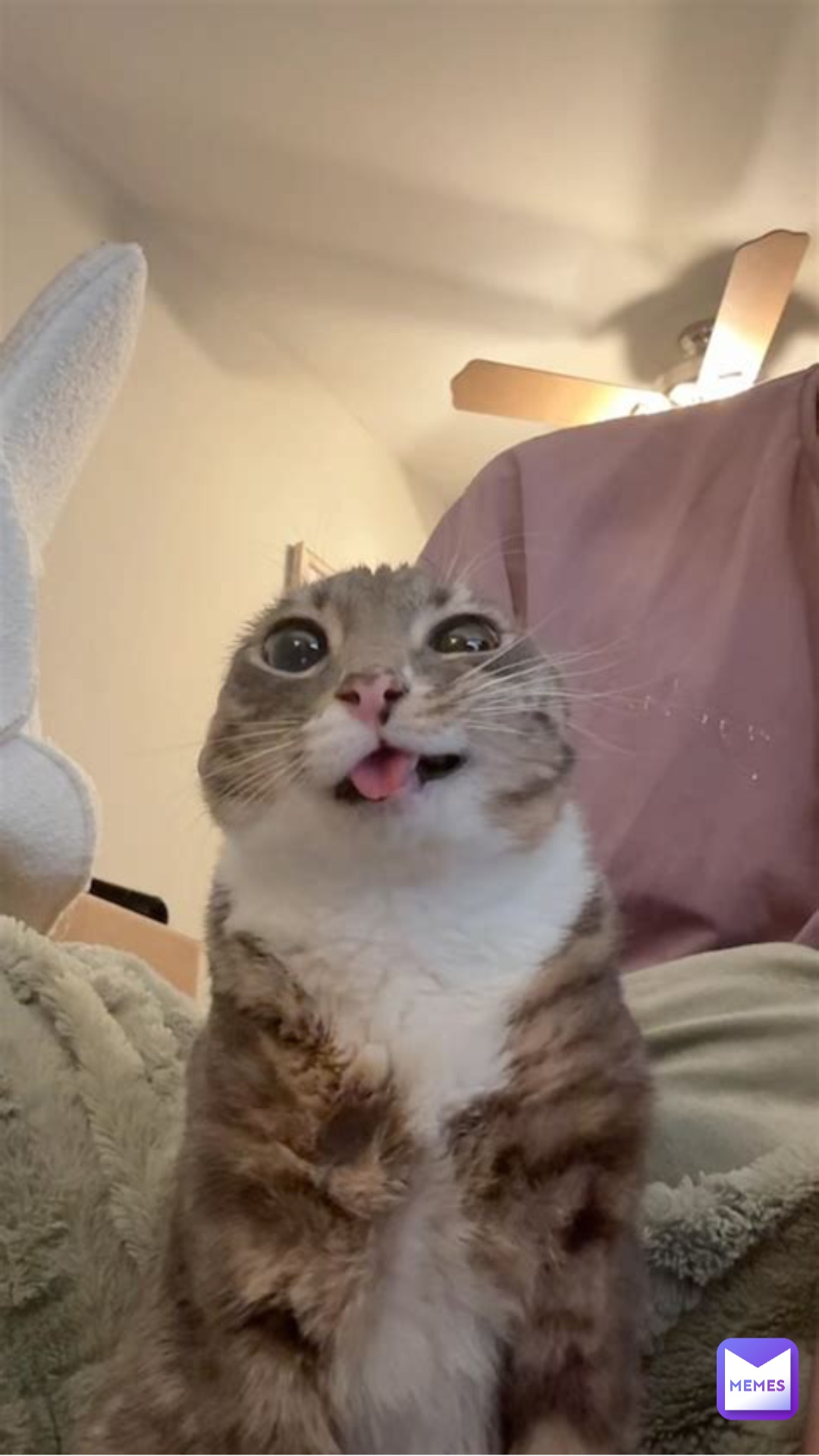 Meme by baller7573758