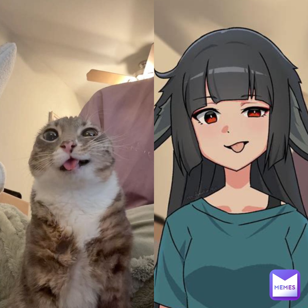 Meme by baller7573758