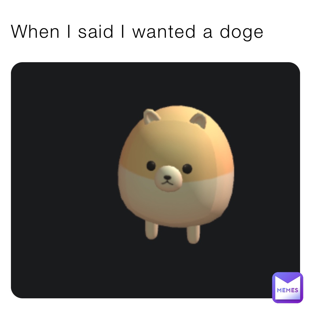 When I said I wanted a doge