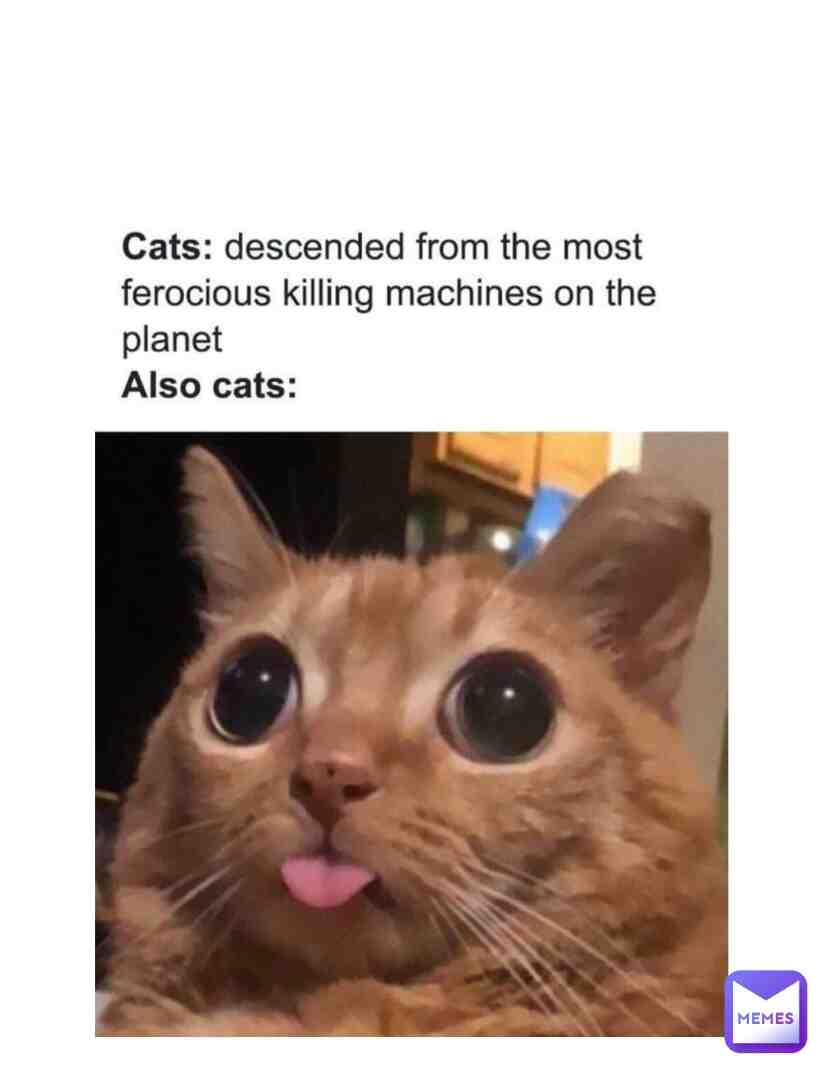 Hiii