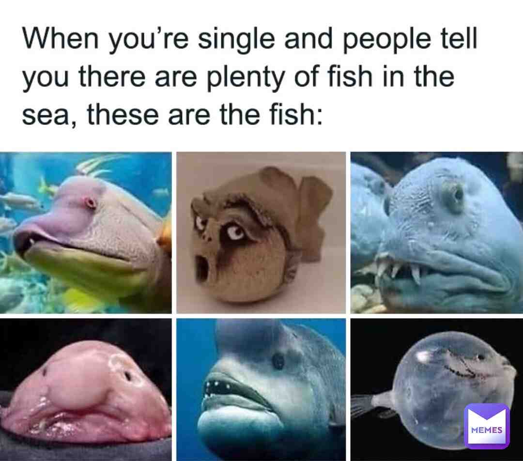 Meme shared by @Axolotl.Girl.210