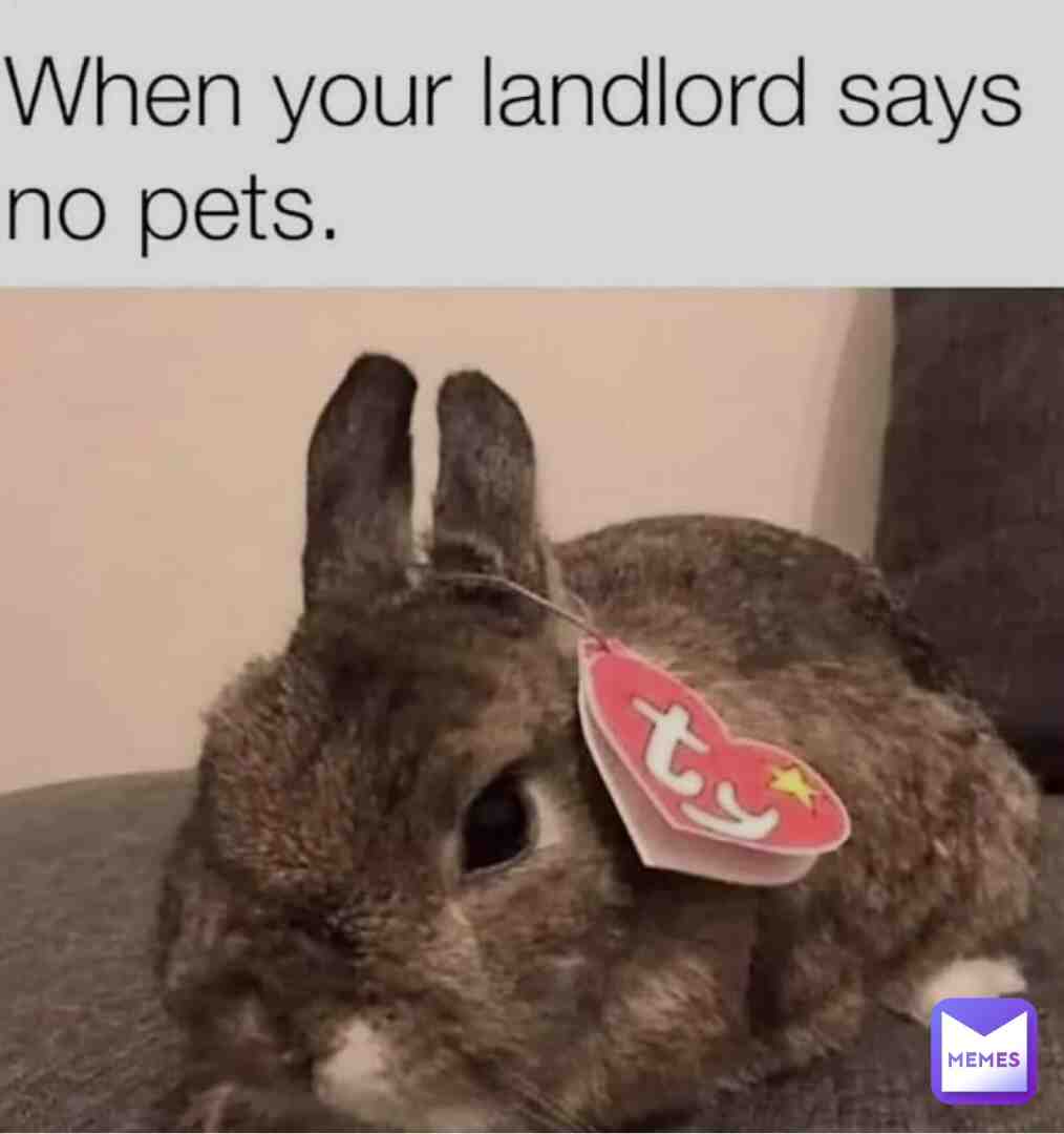Meme shared by @Axolotl.Girl.210